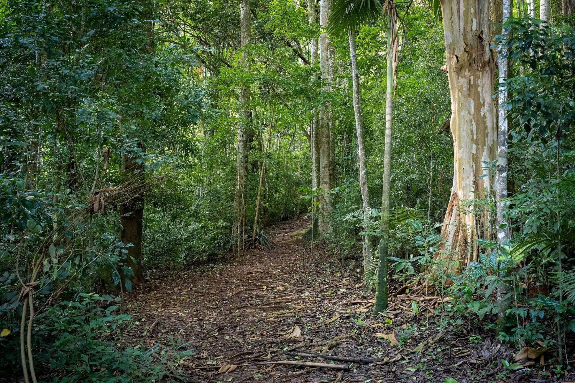 Studios De Luxo Granja Brasil Itaipava เปโตรโปลิส ภายนอก รูปภาพ
